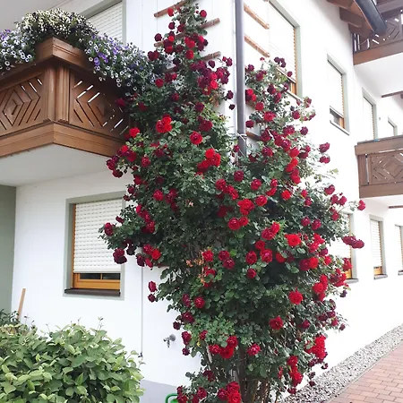 Garni Hopfengold 3* Wolnzach